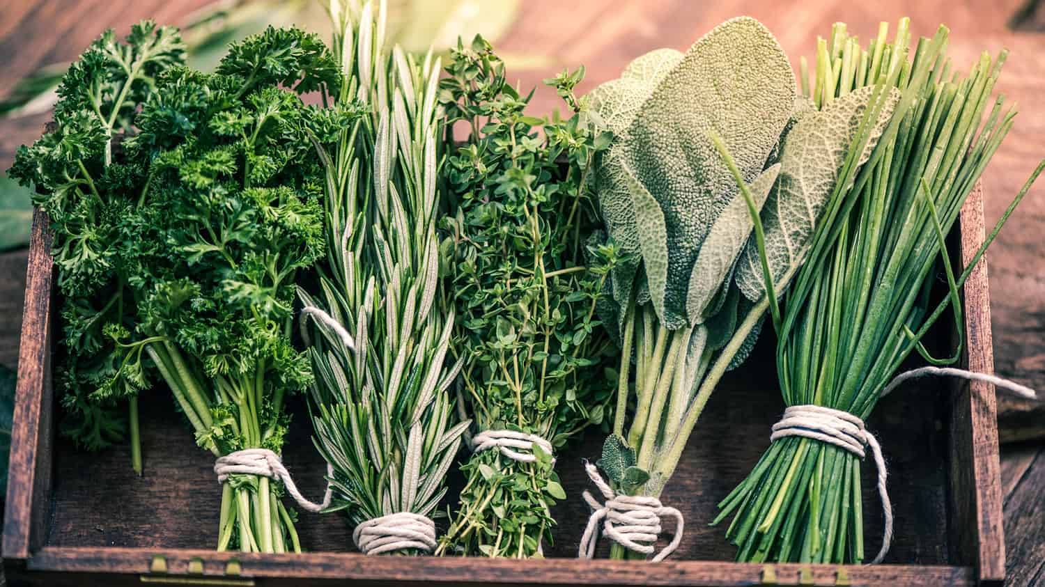 You Won’t Believe the Health Benefits of These 10 Herbs and Spices ...